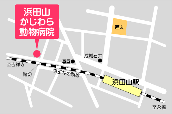 浜田山かじわら動物病院地図